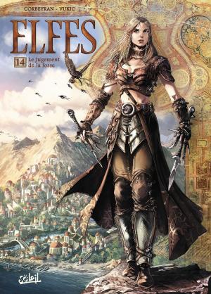 bigCover of the book Elfes T14 by 