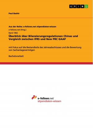 Cover of the book Überblick über Bilanzierungsregulationen Chinas und Vergleich zwischen IFRS und New PRC GAAP by Gabriel Richter