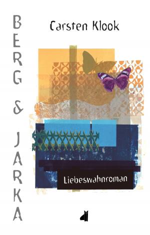 Cover of the book Berg & Jarka by Nicolas Fayé