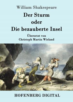 Cover of the book Der Sturm by Benedikte Naubert