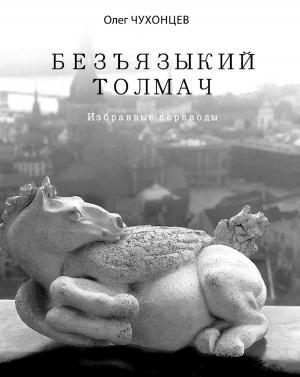Book cover of Безъязыкий толмач