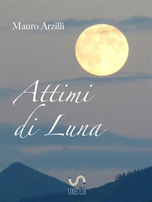 bigCover of the book Attimi di Luna by 