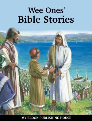 Cover of the book Wee Ones' Bible Stories by Steve Robertson