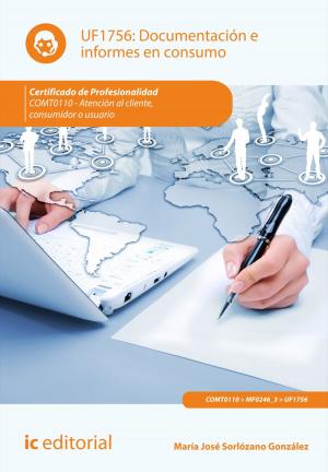 Cover of the book Documentación e informes en consumo by José Raúl Aranda Córdoba