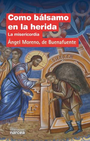 Cover of the book Como bálsamo en la herida by Mercedes Blanchard, Estíbaliz Muzás