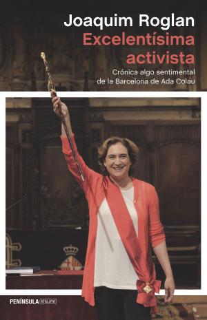 Cover of the book Excelentísima activista by Sarah Guthals