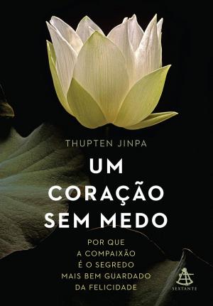 Cover of the book Um&nbsp;coração&nbsp;sem&nbsp;medo by Carlos Domingos
