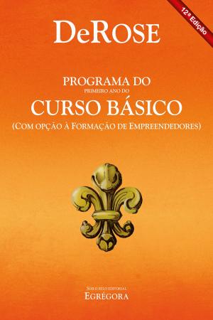 Book cover of Programa do primeiro ano do curso básico