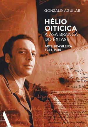 Cover of Hélio Oiticica: a asa branca do êxtase