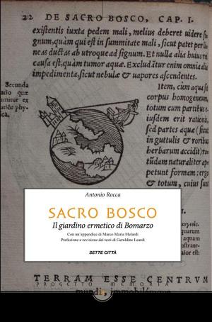 Cover of the book Sacro Bosco by Saverio Ricci