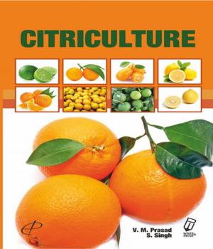 Cover of the book Citriculture by Deepali Tewari, Ajit Kumar