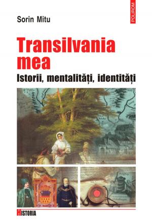 Cover of the book Transilvania mea: Istorii, metalitati, identitati by Budeancă Cosmin, Olteanu Florentin