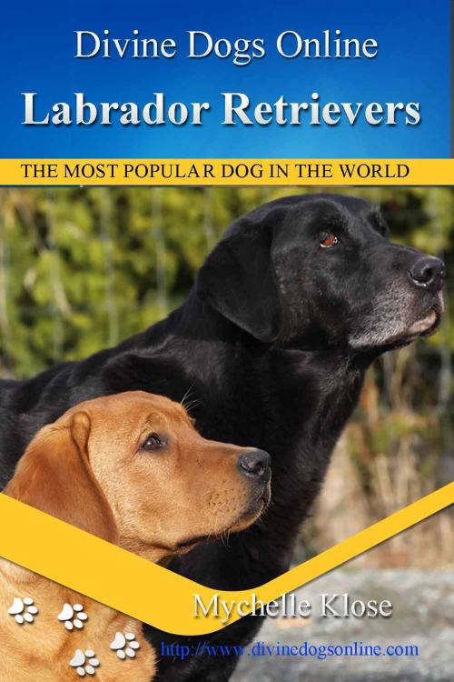 Cover of the book Labrador Retrievers by Mychelle Klose, Klose Publishing