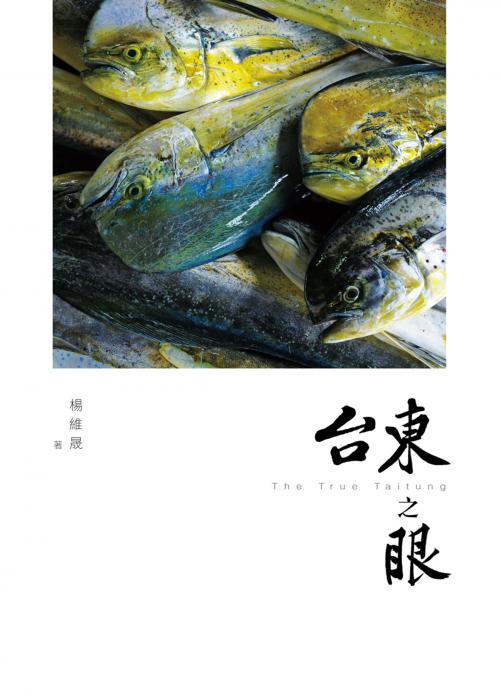 Cover of the book 台東之眼 by 楊維晟, 天下文化出版社