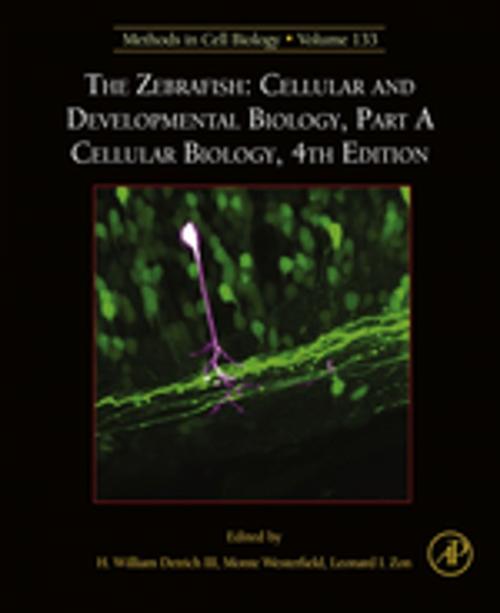 Cover of the book The Zebrafish: Cellular and Developmental Biology, Part A Cellular Biology by H. William Detrich, III, Monte Westerfield, Leonard Zon, Elsevier Science