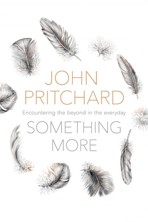 Cover of the book Something More by John Pritchard, SPCK