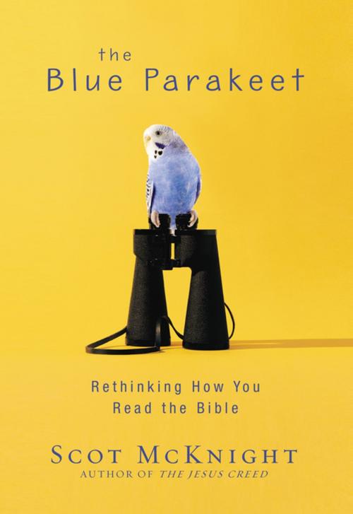 Cover of the book The Blue Parakeet by Scot McKnight, Zondervan