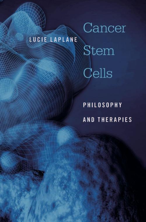 Cover of the book Cancer Stem Cells by Lucie Laplane, Harvard University Press