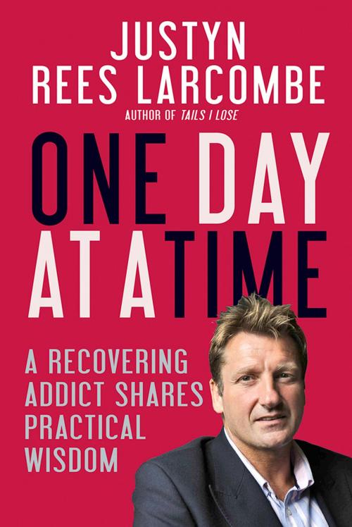 Cover of the book One Day at a Time by Justyn Rees Larcombe, Lion Hudson