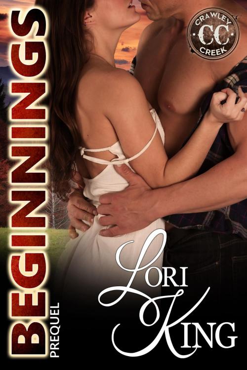 Cover of the book Beginnings by Lori King, Lori King
