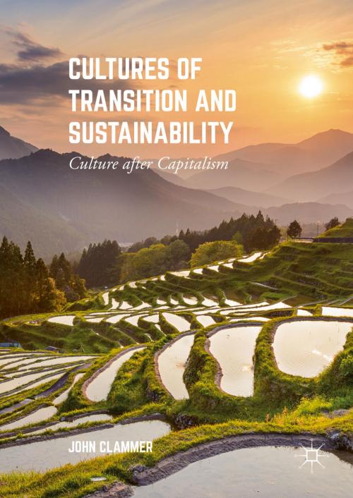 Cover of the book Cultures of Transition and Sustainability by John Clammer, Palgrave Macmillan US