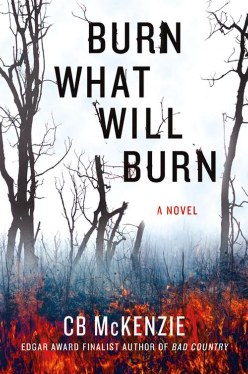 Cover of the book Burn What Will Burn by C. B. McKenzie, St. Martin's Press