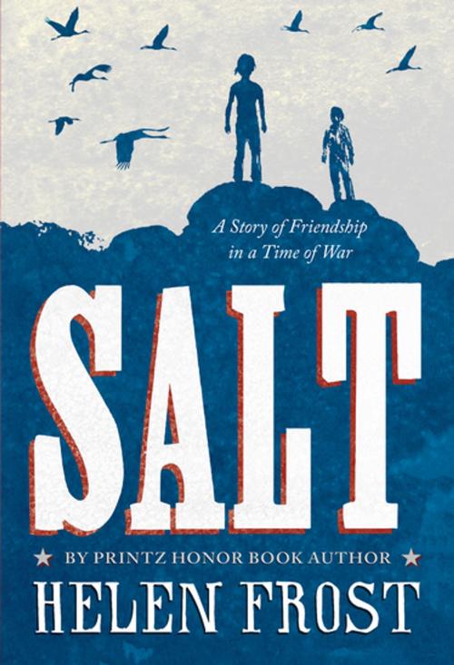 Cover of the book Salt by Helen Frost, Farrar, Straus and Giroux (BYR)