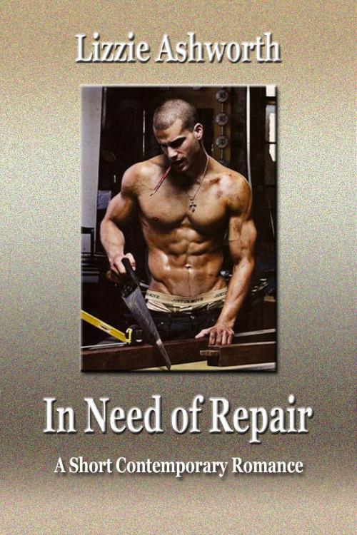 Cover of the book In Need of Repair by Lizzie Ashworth, Lizzie Ashworth