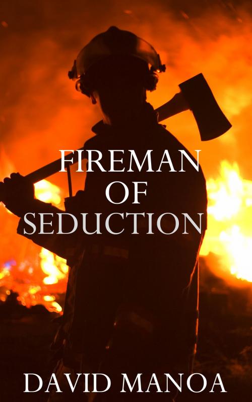 Cover of the book Fireman of Seduction by David Manoa, David Manoa