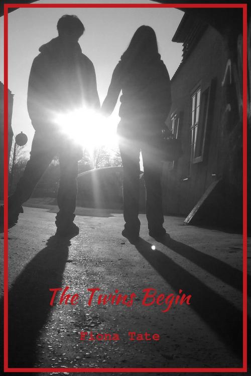 Cover of the book The Twins Begin by Fiona Tate, Fiona Tate