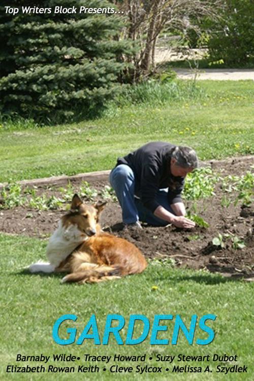 Cover of the book Gardens by Top Writers Block, Top Writers Block