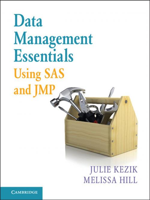 Cover of the book Data Management Essentials Using SAS and JMP by Julie Kezik, Melissa Hill, Cambridge University Press