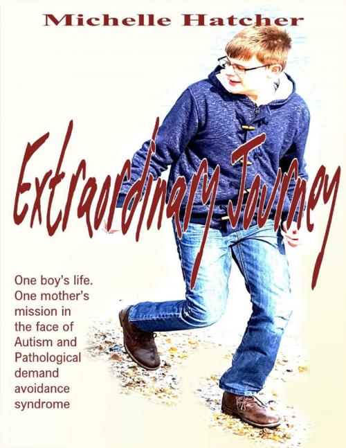 Cover of the book Extraordinary Journey by Michelle Hatcher, Lulu.com