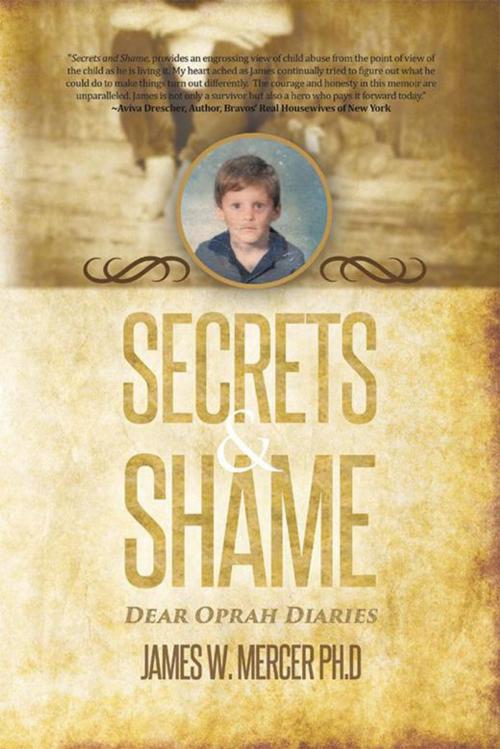 Cover of the book Secrets & Shame by James W. Mercer, Archway Publishing