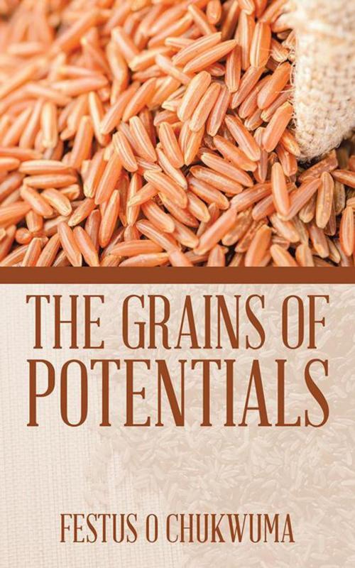 Cover of the book The Grains of Potentials by Festus O Chukwuma, Partridge Publishing India