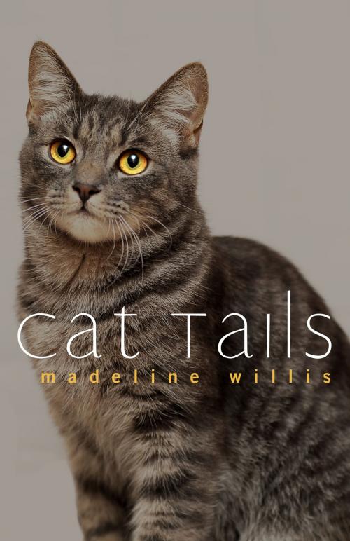 Cover of the book Cat Tails by Madeline Willis, BookBaby