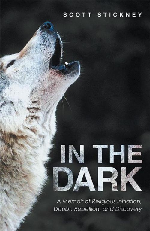 Cover of the book In the Dark by Scott Stickney, WestBow Press