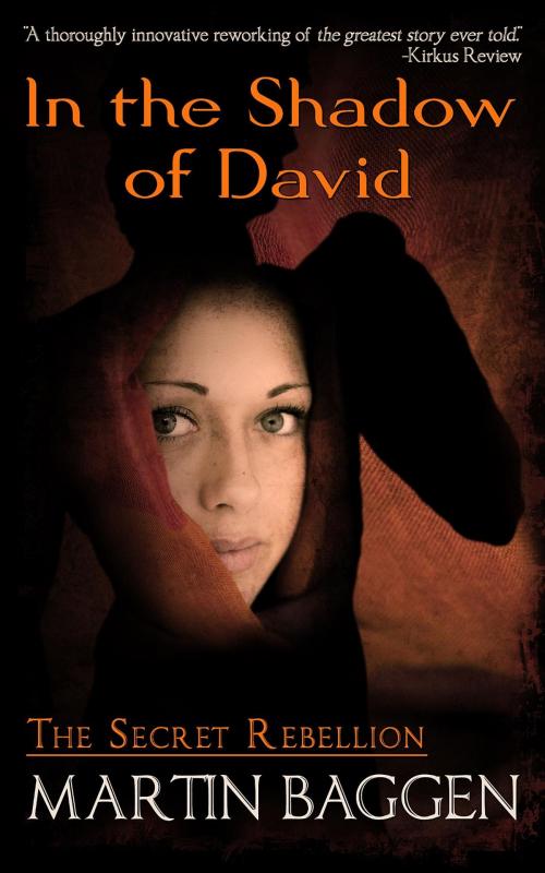 Cover of the book In The Shadow Of David by Martin Baggen, OnQ Film & Video Inc.