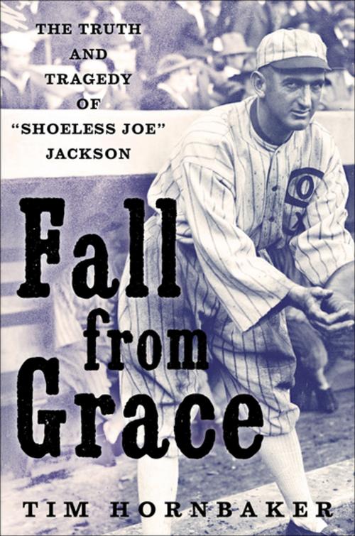 Cover of the book Fall from Grace by Tim Hornbaker, Skyhorse Publishing