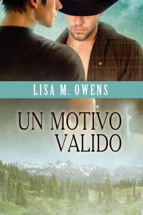 Cover of the book Un motivo valido by Lisa M. Owens, Dreamspinner Press