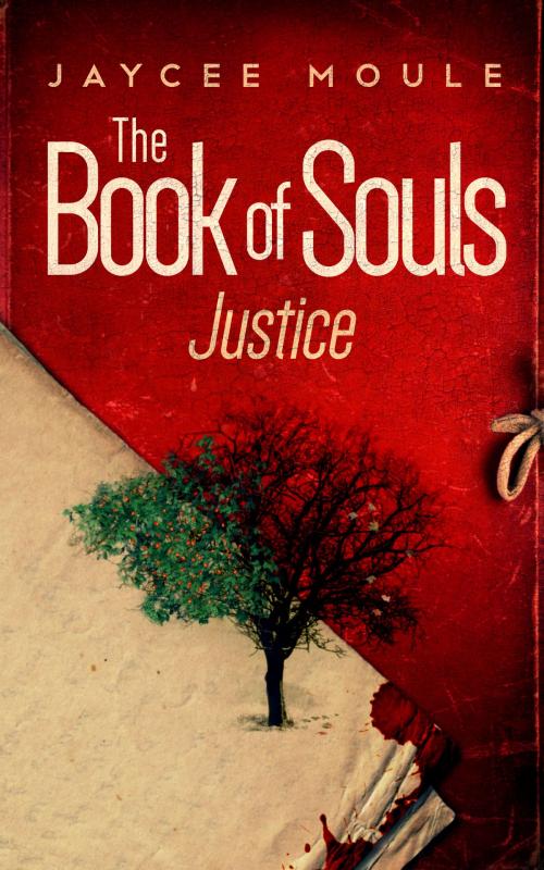Cover of the book The Book of Souls - Justice by Jaycee Moule, Completely Novel