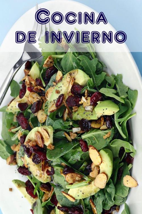 Cover of the book Cocina de Invierno by Bernhard Long, epubli