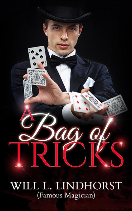 Cover of the book A Bag of Tricks by Will L. Lindhorst (famous Magician), Will L. Lindhorst (famous Magician)