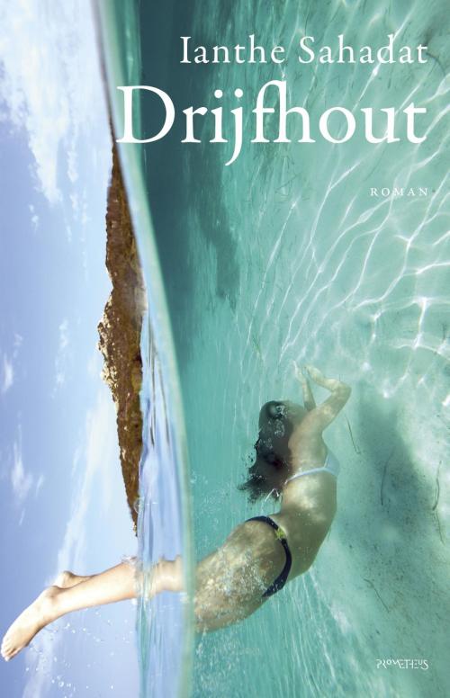 Cover of the book Drijfhout by Ianthe Sahadat, Prometheus, Uitgeverij