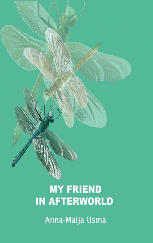 Cover of the book My friend in Afterworld by Anna-Maija Usma, Books on Demand