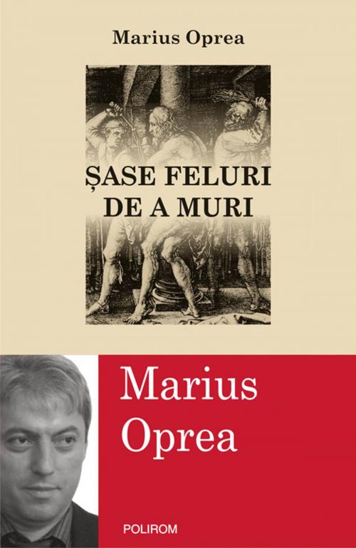 Cover of the book Sase feluri de a muri by Marius Oprea, Polirom