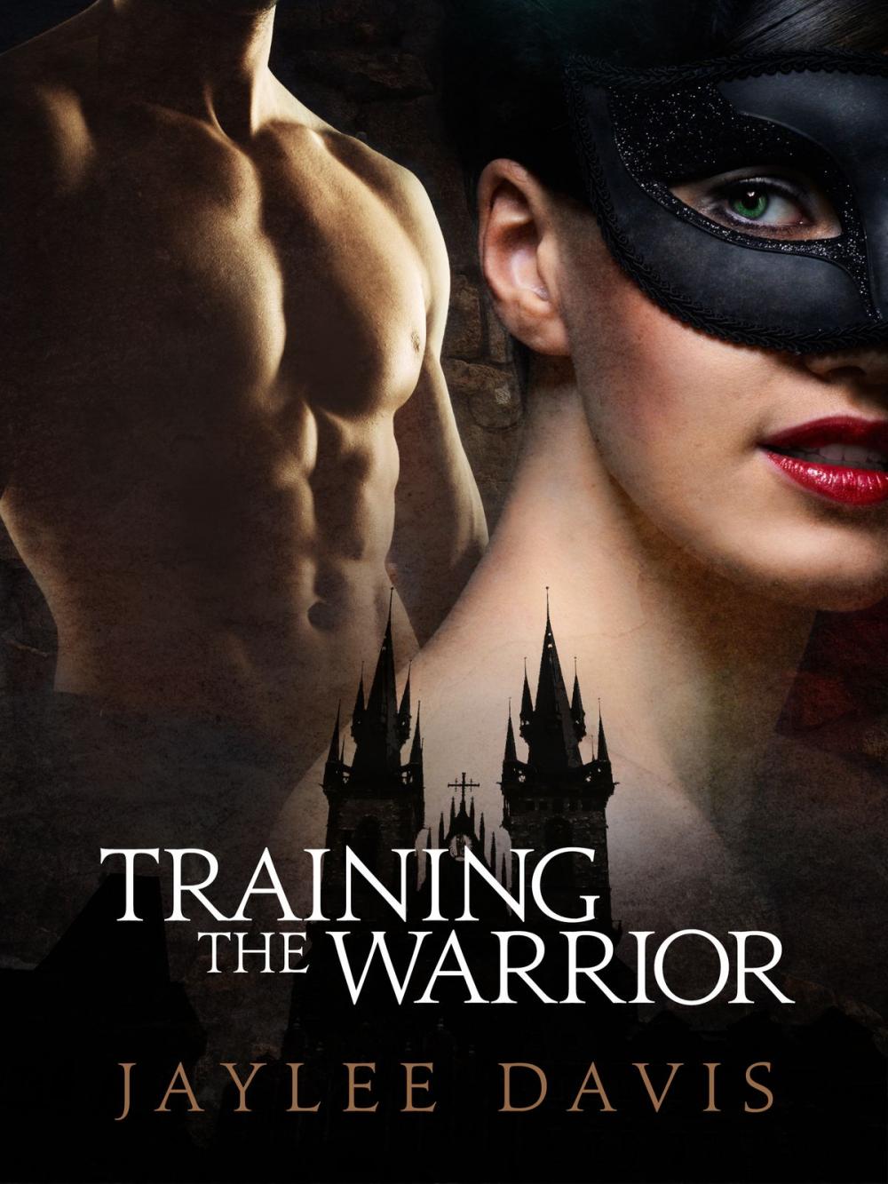 Big bigCover of Training the Warrior