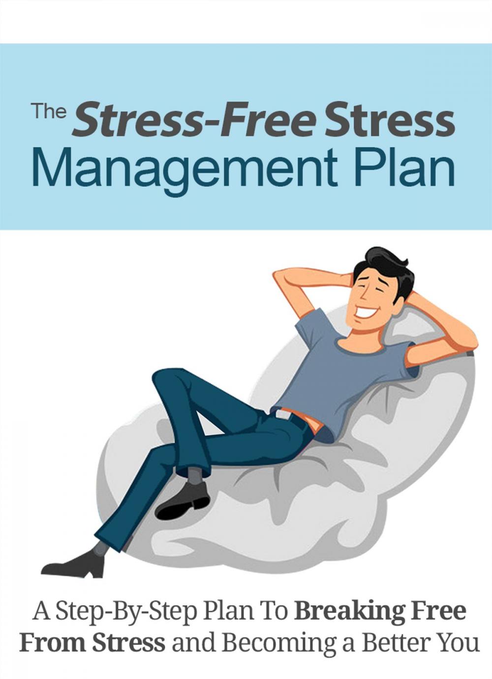 Big bigCover of The Stress-Free Stress Management Plan