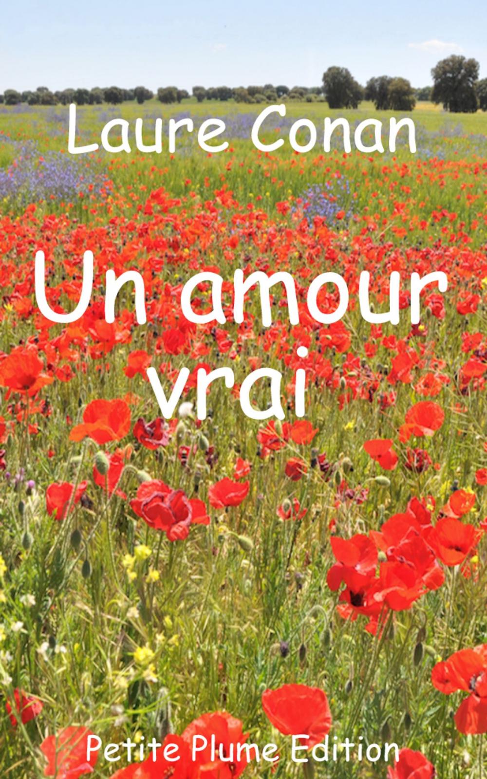 Big bigCover of Un amour vrai