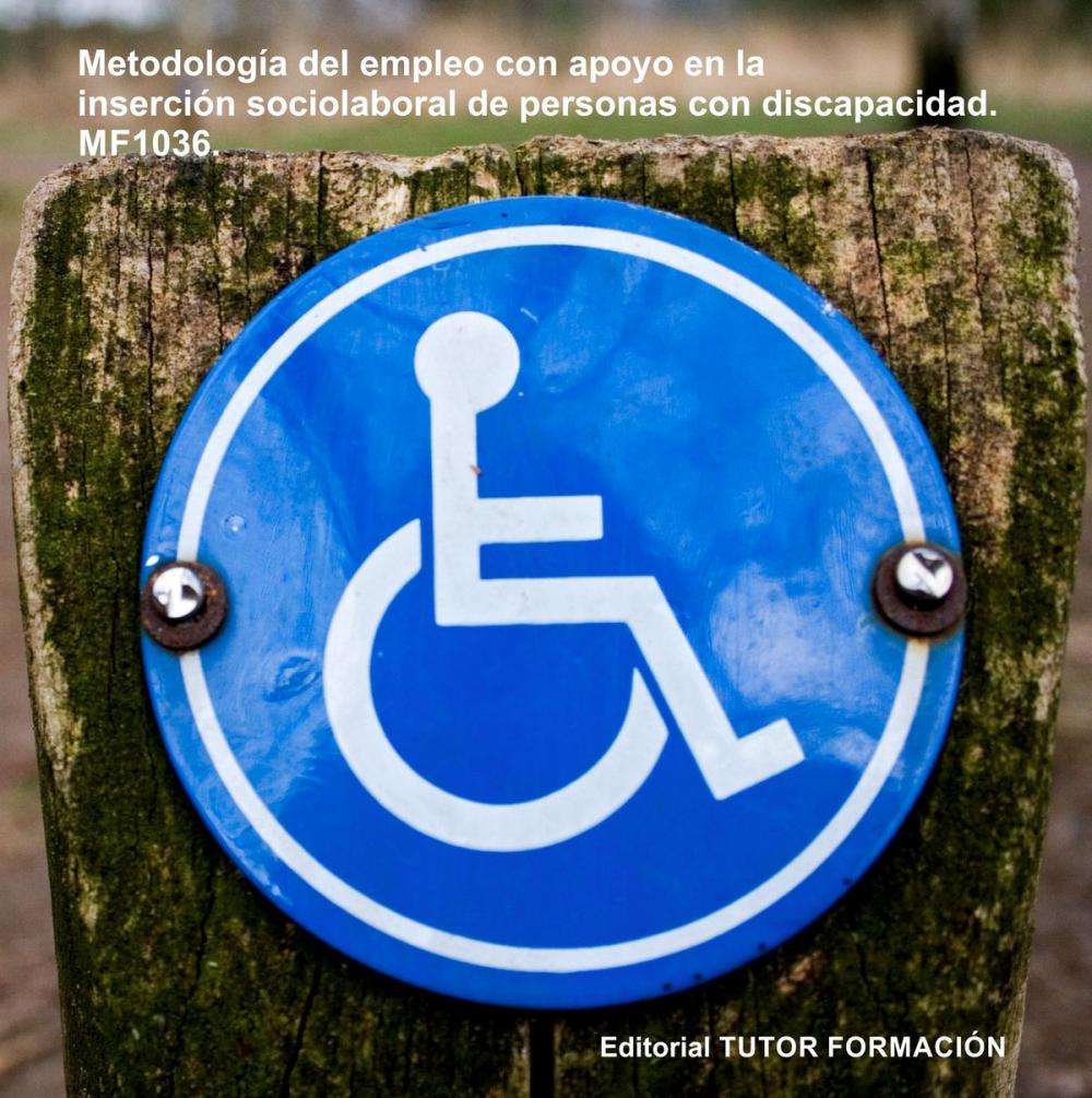 Big bigCover of Metodología de Empleo con Apoyo en la inserción sociolaboral de personas con discapacidad. MF1036